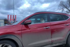 FOTO. Incident pe Careiului! O şoferiţă i-a arătat degetul mijlociu unui consilier judeţean