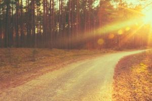 Date îngrijorătoare: A fost cel mai cald 1 februarie înregistrat în România până acum, cu 20 de grade. Cum va fi vremea luna aceasta