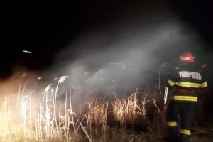 Pompierii tulceni intervin in apropierea Manastirii Saon. Ce arde (galerie foto) 