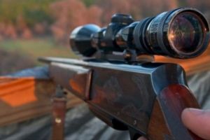 SCANDALOS! Câini împuşcaţi mortal de un ”vânător” mureşean!