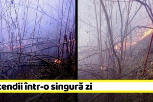 NEAMȚ: 6 incendii de vegetaţie uscată într-o singură zi
