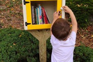 Mini-bibliotecă pentru schimb de cărţi, adusă de „Little Free Library” la Sânpetru