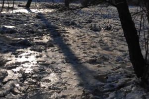 Terenuri şi o gospodărie, inundate din cauza unui zăpor pe Rebra. Intervin pirotehniştii