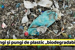 NEAMȚ: Garda de Mediu Neamţ sugerează că seringile şi pungile de plastic sunt materiale biodegradabile