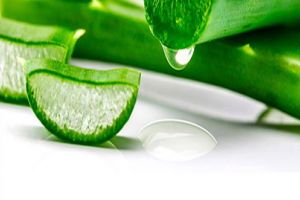 Ce boli tratează aloe vera