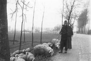 Chiabur sabotor din comuna Plăvălar demascat de muncitorii agricoli