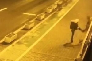 Vandalul de jardiniere revine! Un tânăr şi-a vărsat nervii pe ghivecele de pe Podul Michelangelo