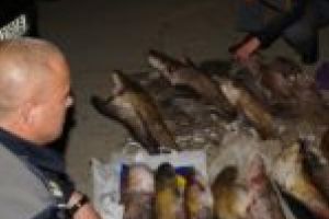Timişeni prinşi cu zeci de kilograme de peşte la Moldova Veche