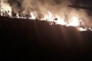 ISU Dolj: 271 de hectare de vegetaţie au ars în acest week-end, 4 locuinţe în flăcări