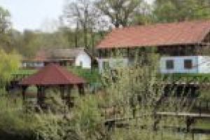 Un pansament pentru Planetă de Ziua Mondială a Zonelor Umede. Ce fac elevii din Timiş pentru natură?