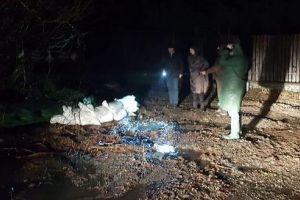 Gospodării din Ibăneşti, inundate. Reacţia prefectului