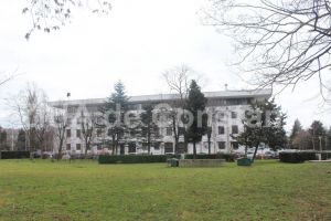 Municipalitatea vrea o parte din bani inapoi:  Eurocult, ONG-ul Adarei Tramundana, dat in judecata de Primaria Constanta