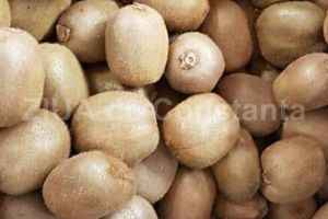 Kiwi, alimentul minune plin de nutrienti, vitamine si minerale