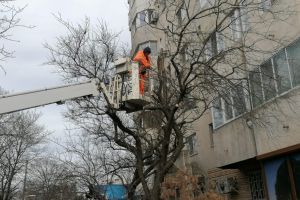 Continua lucrarile de toaletare si corectie a arborilor, in municipiul Constanta