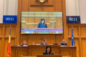 Violeta Răduţ a fost realeasă vicelider al Grupului parlamentar al PSD din Camera Deputaţilor