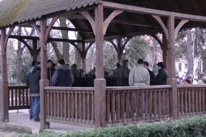 Societatea Mobila SA, acţionată în instanţă de angajaţi pentru recuperarea unor restanţe ...