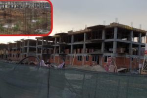 Lângă pădurea Trivale, au răsărit „ciuperci”… rectangulare