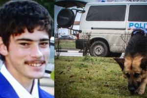 MOARTEA A SURVENIT PRIN CĂDERE DE LA ÎNĂLŢIME