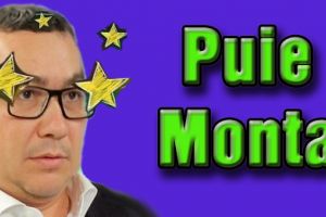 Fara Mihai Tudose (PSD), Pro Romania a coborat la Braila de la 22 la 3,8 procente