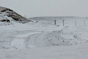 Cod Galben de intensificări ale vântului şi ninsori viscolite