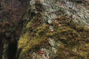 Barbat gasit decedat intr-o rapa din Baia Sprie (VIDEO)