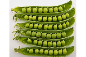 Cat de sanatoasa este mazarea