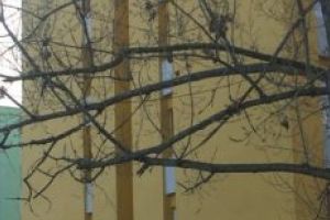 Şase familii evacuate din complexul de locuinţe sociale din Lunca Oltului; urmează alte zeci