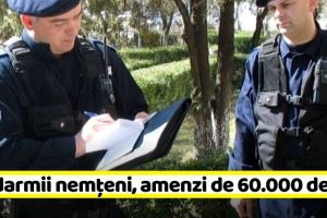 NEAMȚ: Jandarmii nemţeni, amenzi de 60.000 de lei luna trecută