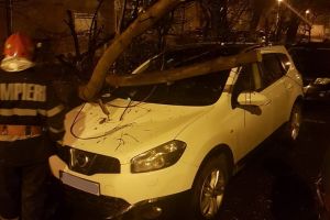 Copaci şi stâlpi, doborâţi pe maşini şi pe carosabil de vântul puternic, în Oradea şi în Bihor 