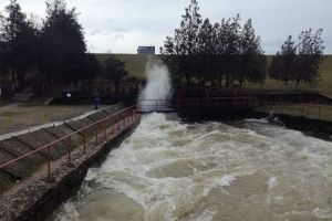 FOTO. Pericol de inundaţii în judeţul Satu Mare! Au fost depăşite cotele de atenţie