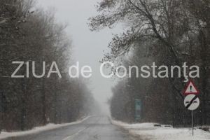 Cod rosu de zapada si viscol in Dobrogea! 