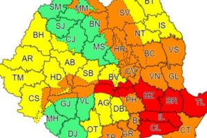 COD ROŞU DE VISCOL ÎN ARGEŞ