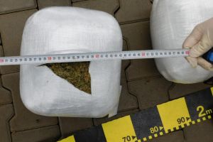 DIICOT: Cercetari intr-un dosar de introducere in tara de droguri de risc si complicitate la trafic de droguri. Cum procedau suspectii 