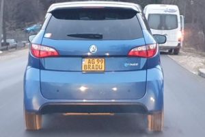 „COCHILIE” FRANŢUZEASCĂ RARĂ, OBSERVATĂ ÎN DRUM SPRE PITEŞTI