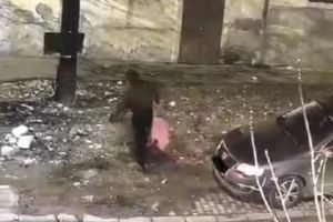 Timişoara murdară! Amenzi de 6.000 de euro în 10 zile pentru gunoaie