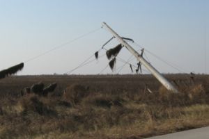 VÂNTUL face RAVAGII! Stâlpi CĂZUȚI pe un drum judeţean (VIDEO)