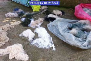 Ialomiţa: Prins în flagrant cu aproximativ 100 de kg de peşte. Pescuia ilegal cu plasă monofilament