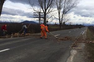 FOTO. Vântul puternic a doborât mai mulţi copaci pe DN 19, în judeţul Satu Mare