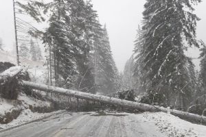 ALERTĂ Drumul de la Lacu Roşu spre Gheorgheni A FOST ÎNCHIS