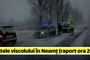 NEAMȚ: Viscol în Neamţ: Drumuri blocate, case fără curent, mesaj prin Ro Alert