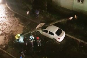 FOTO: Arbori şi panouri publicitare doborâte de vânt, în Focşani