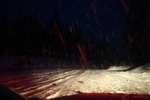 Drumuri blocate: DN 12C, DN 13B şi DJ 125. Pompierii acţionează pentru degajarea arborilor