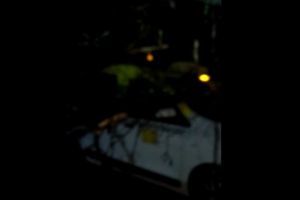 Un copac a cazut peste trei masini, in statiunea Olimp. Intervin pompierii ISU Dobrogea (video)