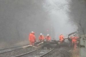 Mureş: Tren internaţional blocat de un copac căzut! Un alt tren, oprit într-o gară!