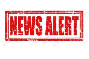 Brad căzut peste un tir, în judeţul Braşov