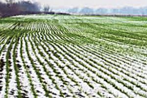 Ne aşteaptă vremuri grele!