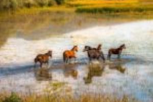 Construcţiile în Ostrov – între adevăr şi fabulaţie