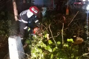 Copaci cazuti si acoperisuri smulse la Constanta, in urma viscolului. Unde au intervenit pompierii (galerie foto+video)