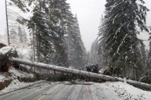 INFOTRAFIC: Circulaţie închisă pe autostrada A2 şi 28 de drumuri naţionale, joi dimineaţa