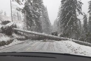 VIDEO FOTO: Vremea se dezlănţuie în toată ţara – Drumuri blocate, localităţi fără curent şi şcoli închise